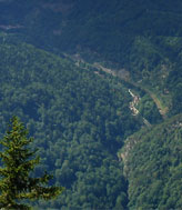 Gorges de l'Areuse